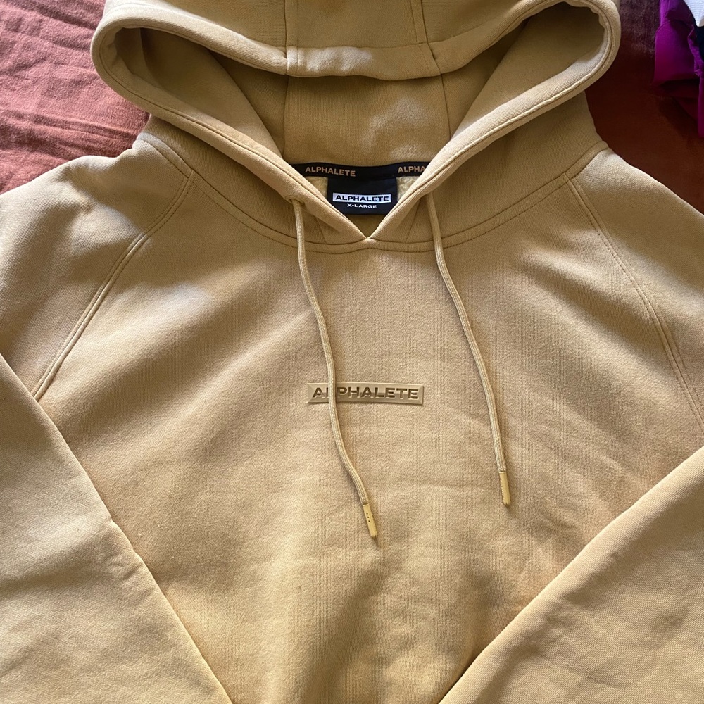 Alphalete cropped hoodie